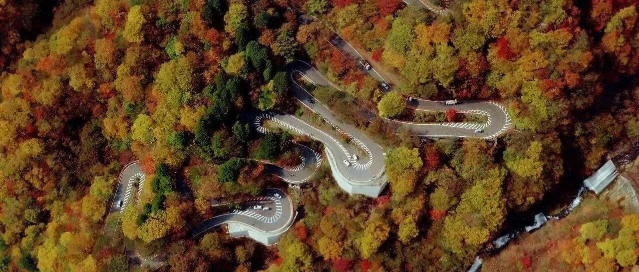 顶级大师的日光丽思卡尔顿酒店