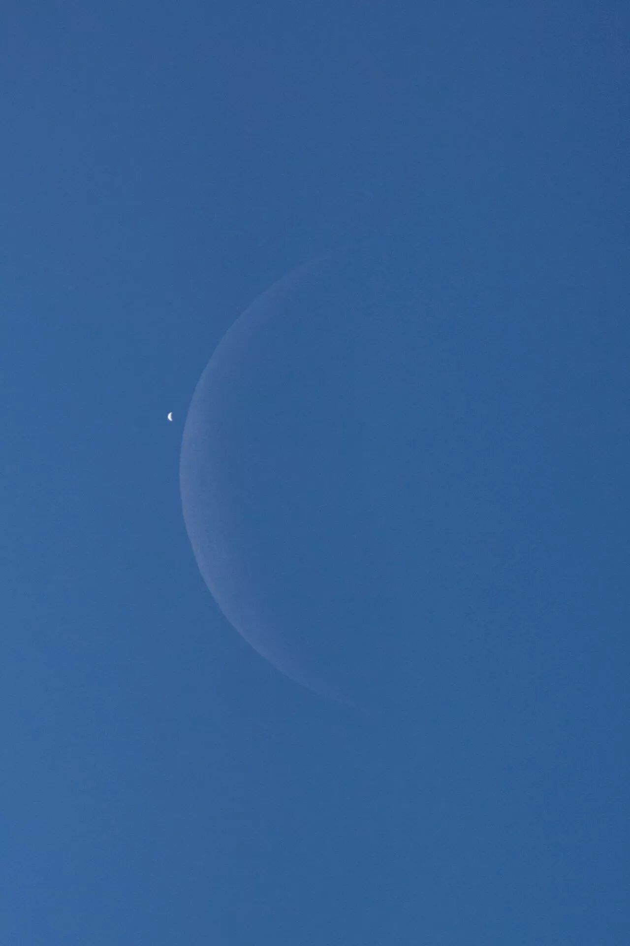 现在最希望的是有人陪我看月亮