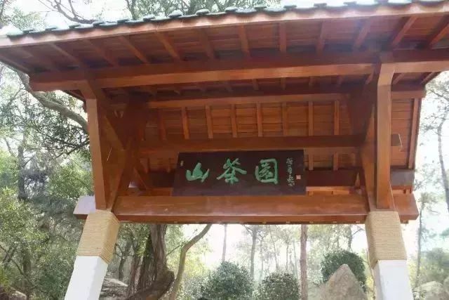 春节去厦门旅游合适吗