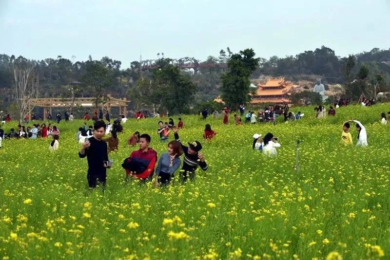 春节去厦门旅游合适吗