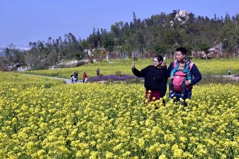 春节去厦门旅游合适吗