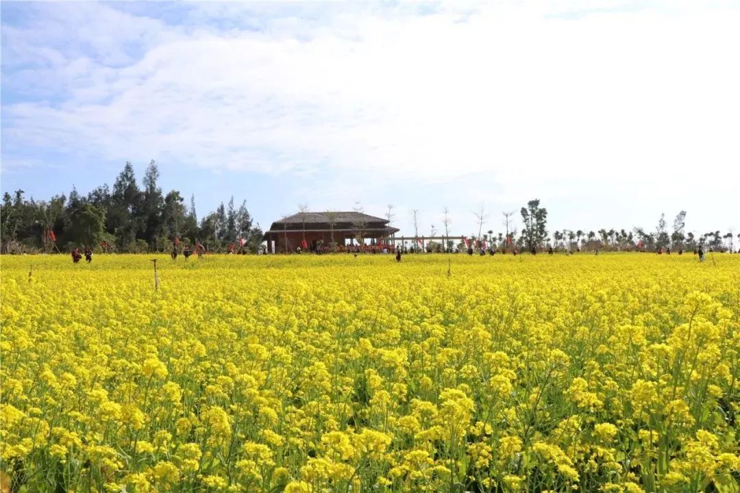 春节去厦门旅游合适吗