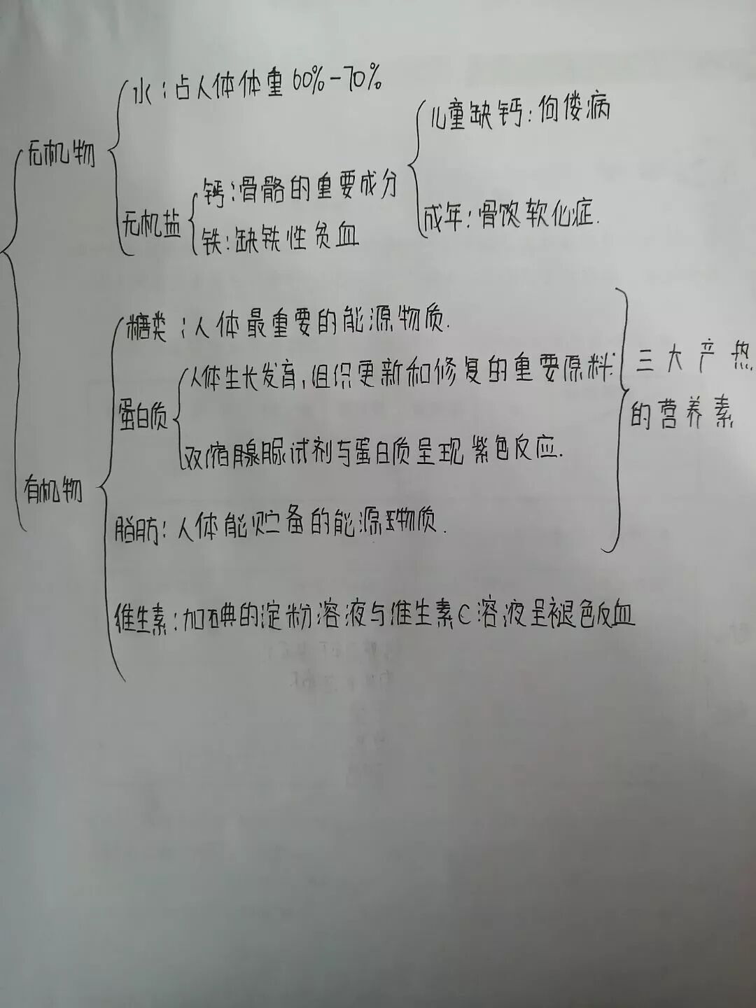 新川综合课程上线，以艺战“疫”为爱发力