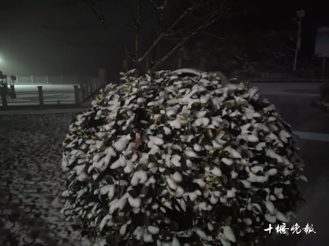 十堰下雪啦！