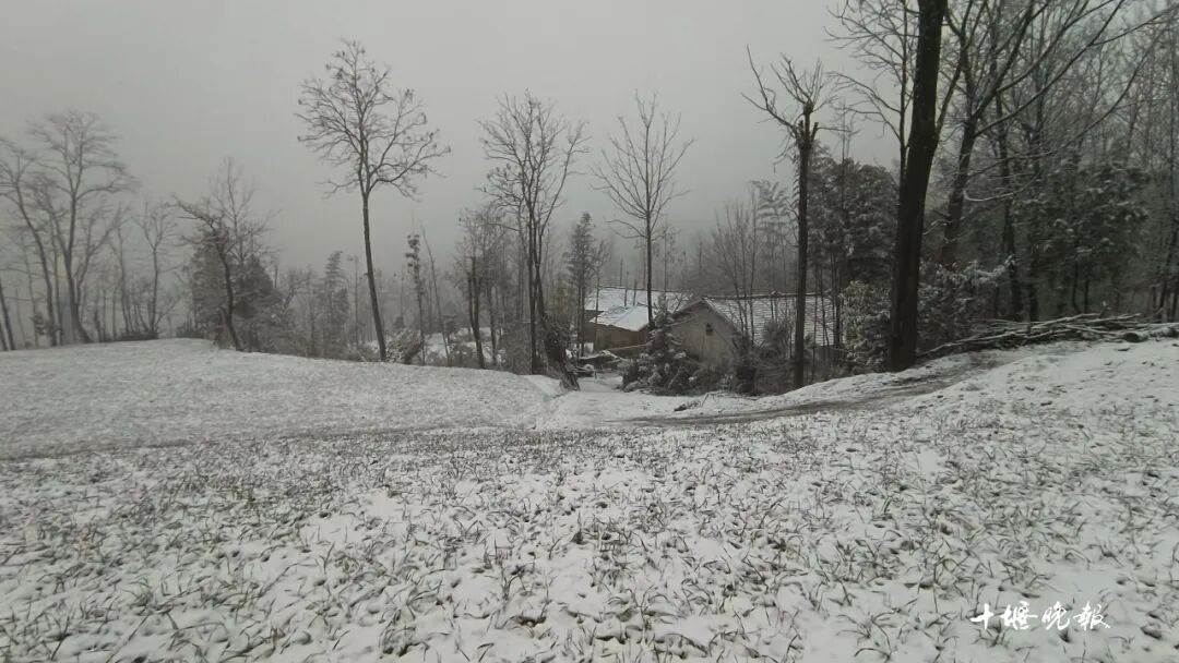 十堰下雪啦！