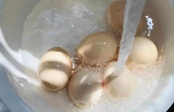 水洗蛋白怎么测医生提醒：请停止食用“水洗蛋”，或比喝酒伤肝，别不当回事_https://www.jmylbn.com_新闻资讯_第6张