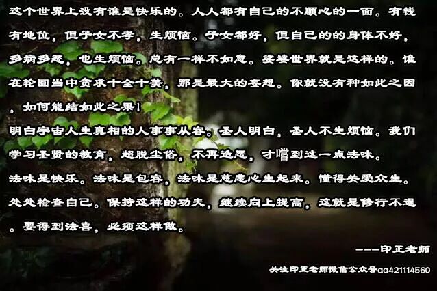 无量寿经解义-第190集