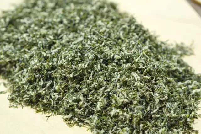 碧螺春是一种_碧螺春间种_碧螺春套种