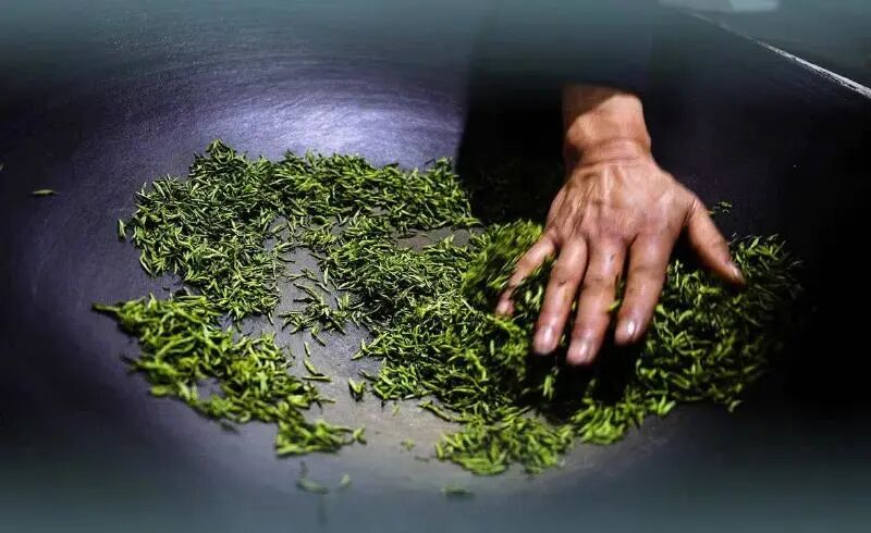 碧螺春间种_碧螺春是一种_碧螺春套种