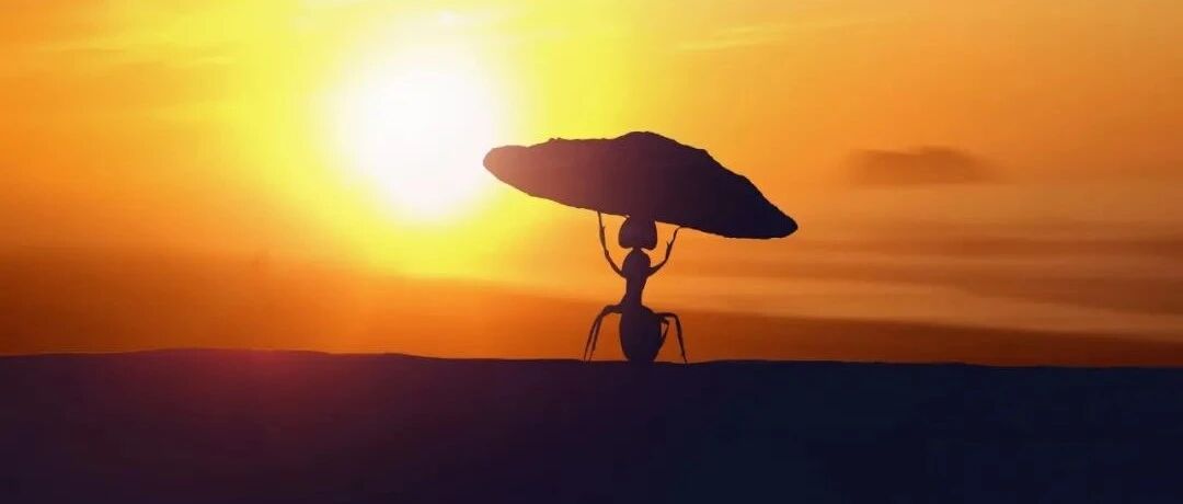 「我现在活的每一天都是赚的」，相信与坚持让他逃脱癌王魔爪