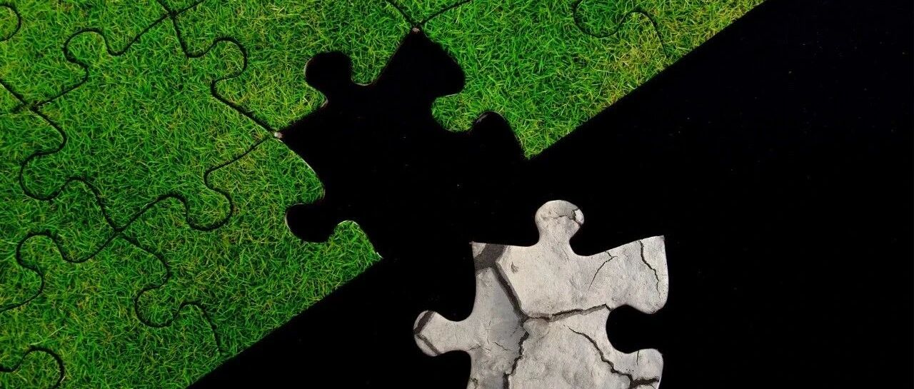 恶病质: 和癌症伴生, 极易被忽视, 却导致了最多患者的恶化与死亡