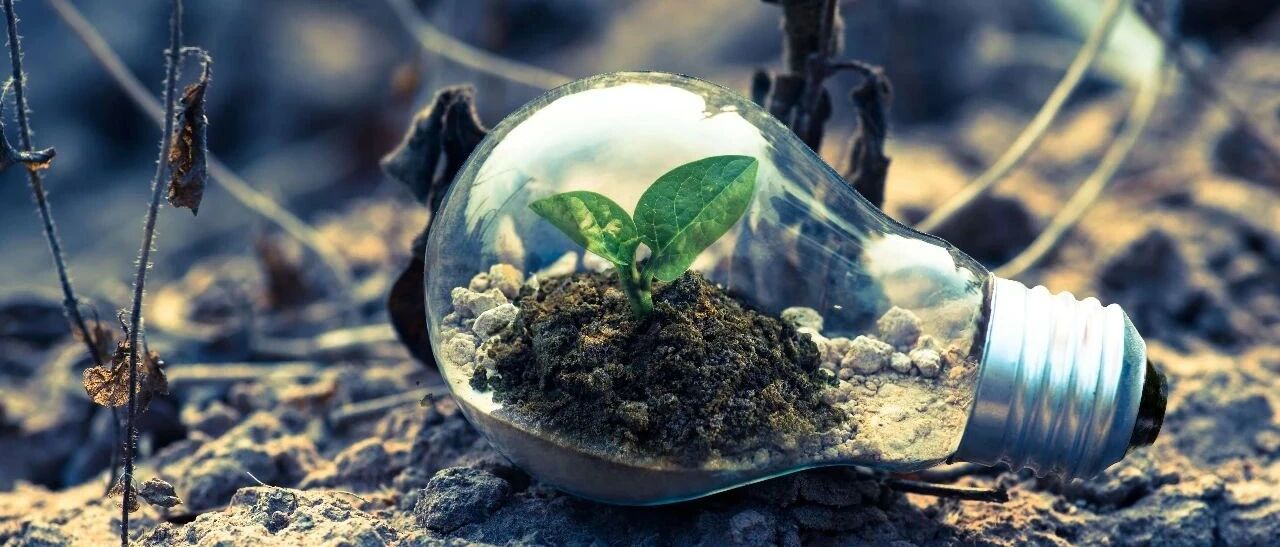 免疫联合再革新! 替雷利珠单抗+化疗, 肺癌一线治疗有效率生存期双双提升