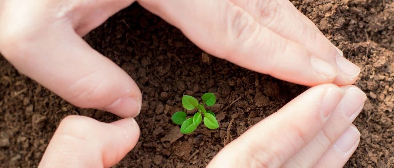 惊喜不断, 高品质K药进击食管癌, 降低门槛实现长生存, 花费减半！