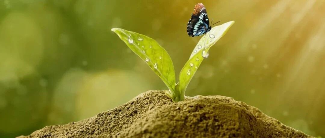 「网红」靶点Trop-2能成为攻克所有癌症的希望吗？