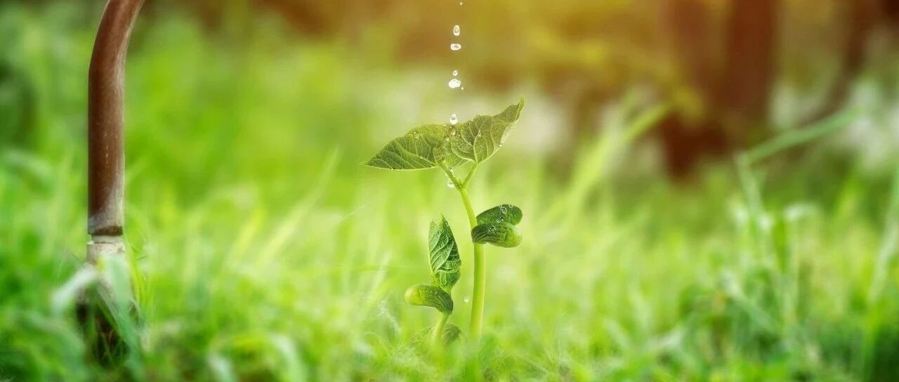 她来了！这份靶向治疗福利赶紧收藏！