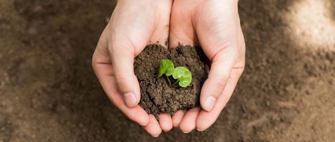 全国首张处方开出, 贝林妥欧单抗为急性淋巴细胞白血病患者带来新治疗选择