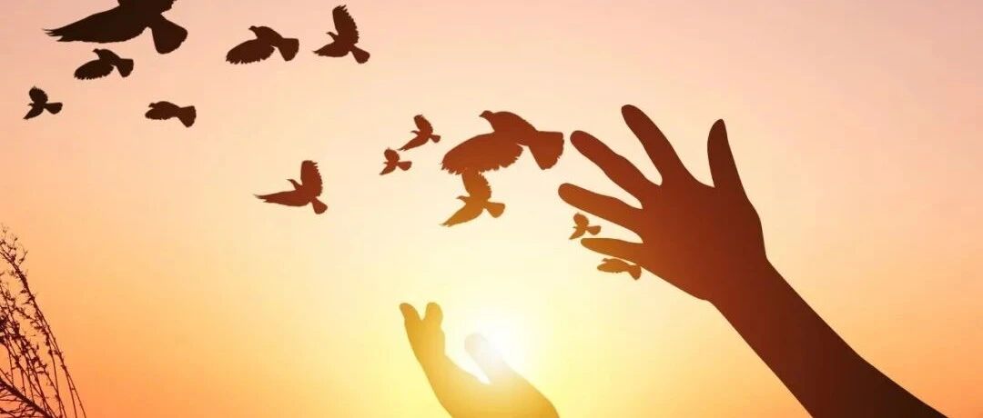 差点成为『断臂杨过』的她，写下1800天新生实录