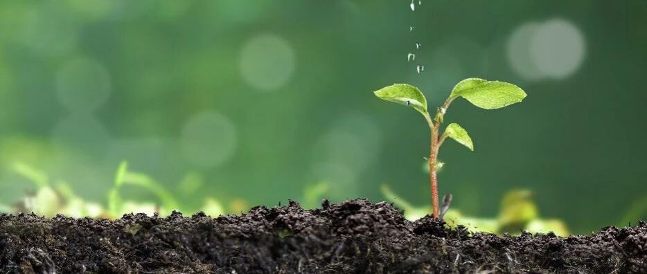 奇迹在身边: 肺癌突袭造访, PD-1联合化疗一击制敌, 用药两年后停药半年, 患者仍持续获益！