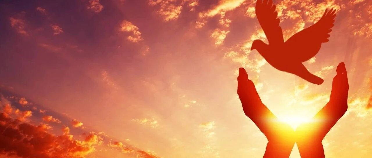 2020 WCLC: 恩沙替尼eXalt3研究最新数据公布, ALK阳性NSCLC患者一线再添全新选择