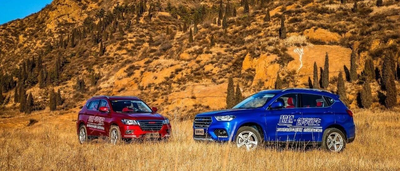 汽车双标战略，到底是不是一个好决策？