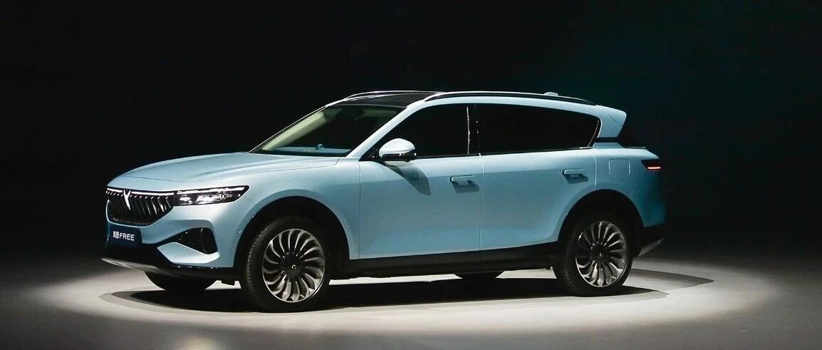 以“岚图”为名，野心是大展宏图？