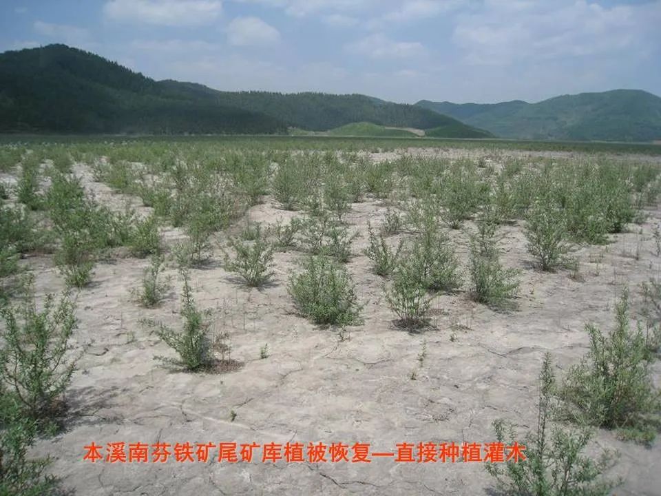 PPT丨矿山生态环境恢复治理关键技术与方案编制要点的图107