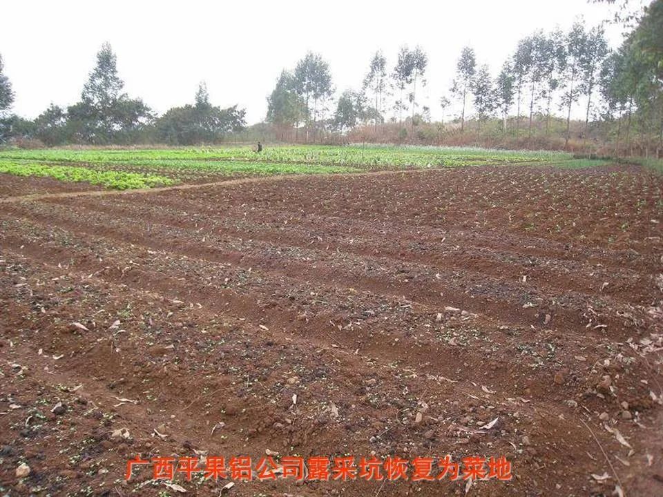 PPT丨矿山生态环境恢复治理关键技术与方案编制要点的图101