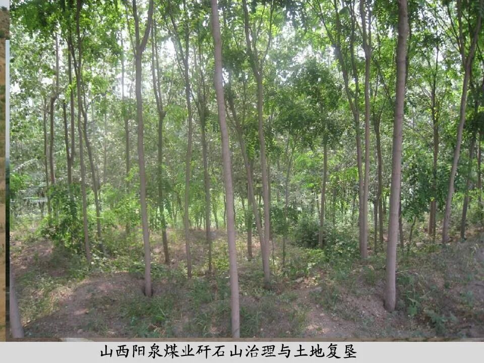 PPT丨矿山生态环境恢复治理关键技术与方案编制要点的图127