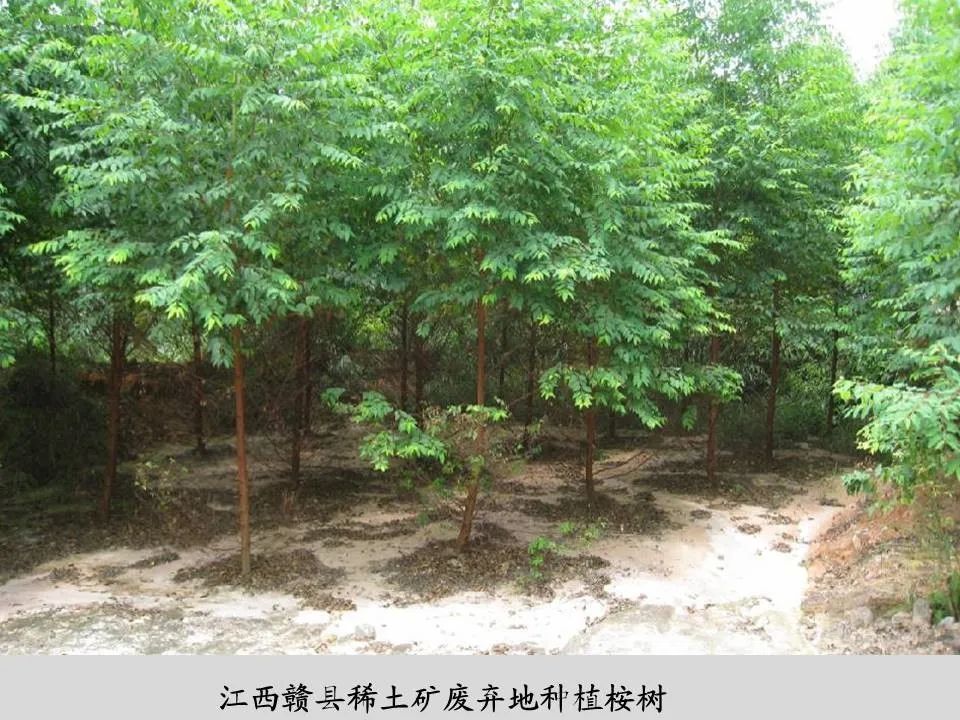 PPT丨矿山生态环境恢复治理关键技术与方案编制要点的图99