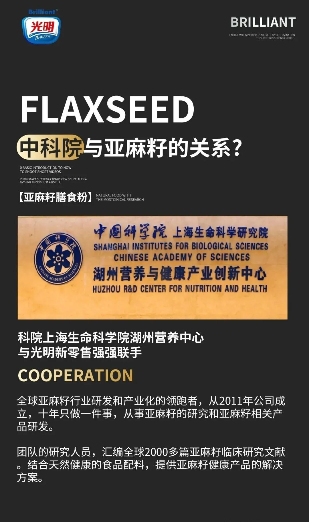 亚麻籽在营养界称为黄金种子，超级食品