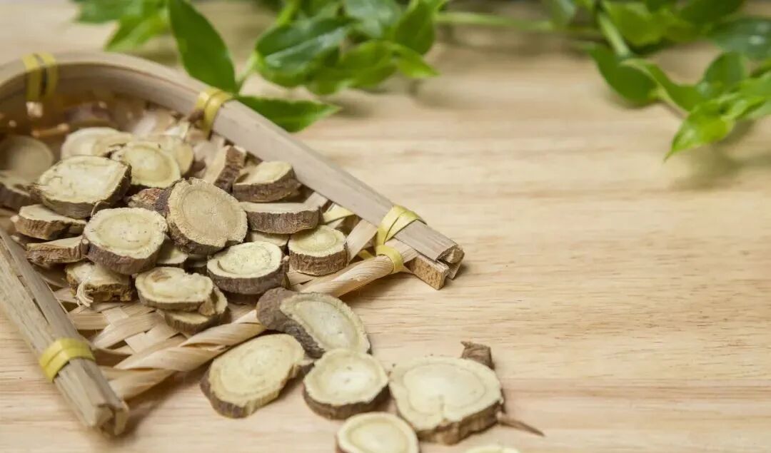 一味药材可解千种草药毒性！被称为“解毒之王”！