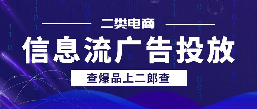 什么叫二类电商怎样运营
