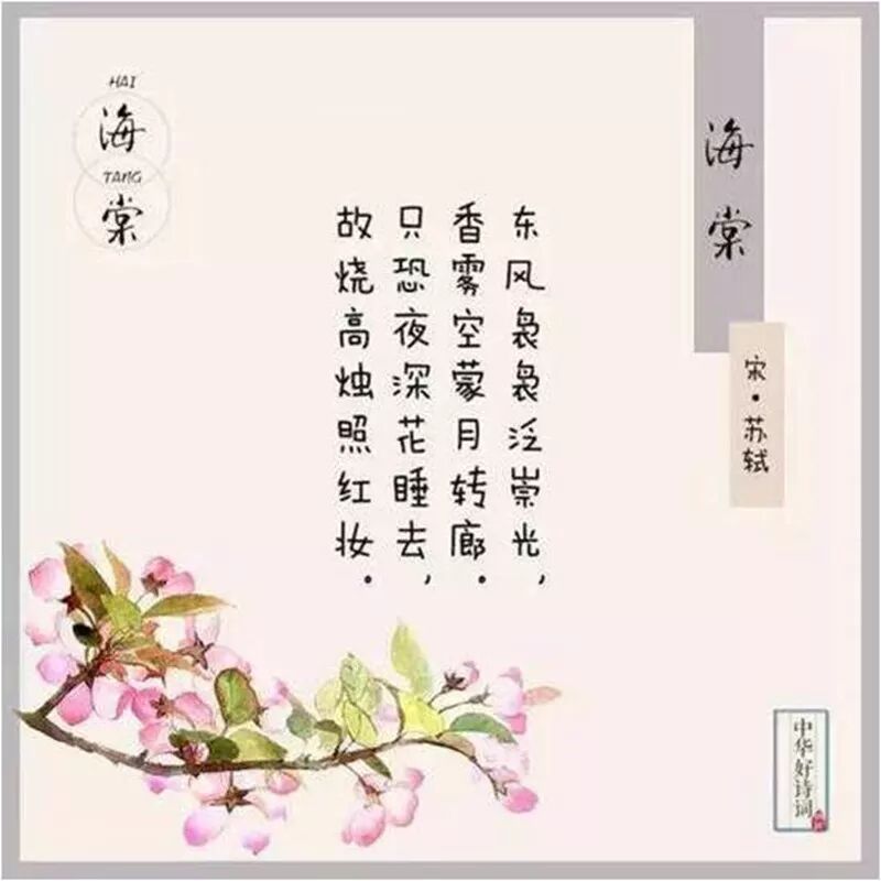 形容海棠花的优美诗句_海棠花美的诗句_海棠诗句优美形容花的句子