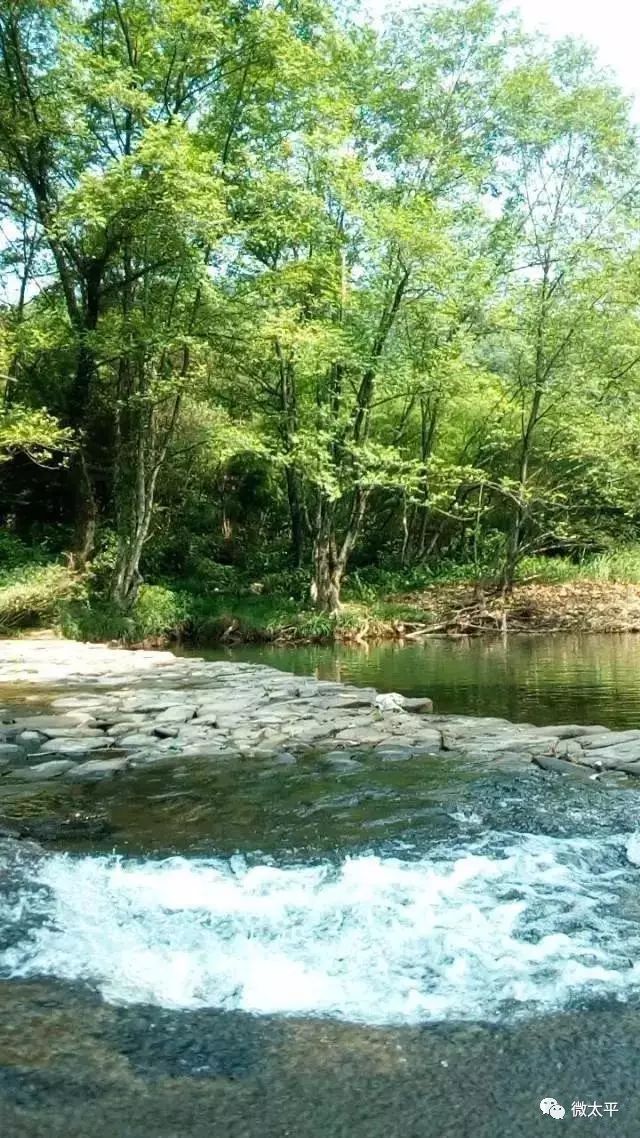 迁徙,最终形成了以卓村为中心,上至富沿坑,汪王岭,浮丘坦,仁村,下至苦