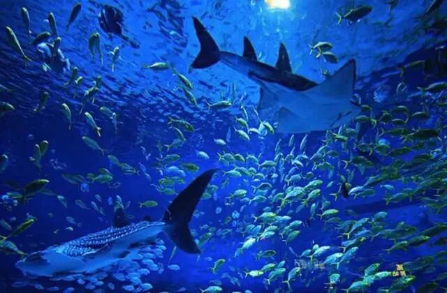 三亚游玩攻略|亚龙湾篇，缠绵在海风里的浪漫