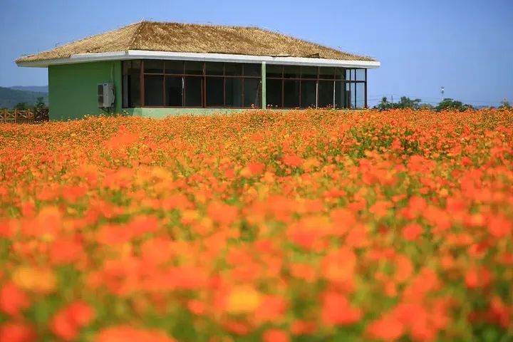 三亚游玩攻略|亚龙湾篇，缠绵在海风里的浪漫