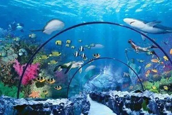 三亚游玩攻略|亚龙湾篇，缠绵在海风里的浪漫