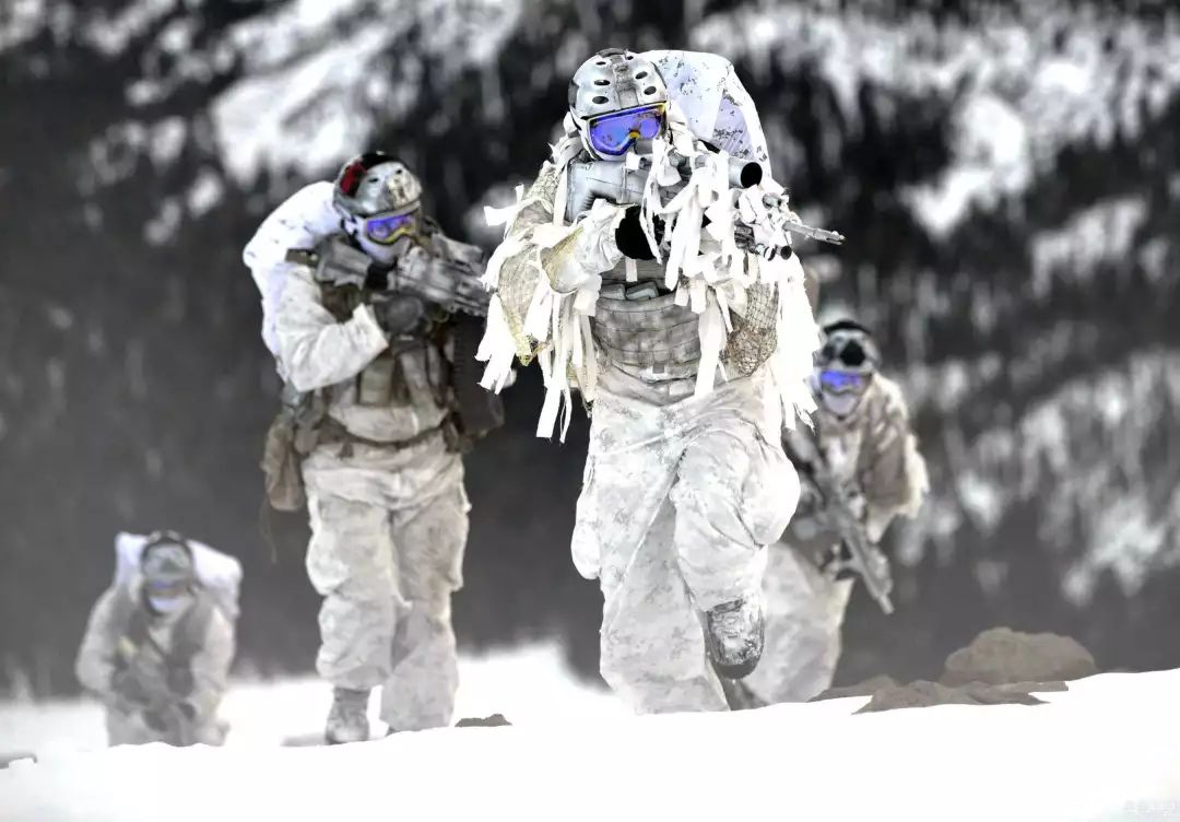 雪中的隐藏杀机 山地部队为啥都喜欢另类而帅气的雪地迷彩 军武次位面微信公众号文章