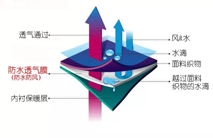 使命召唤辅助_召唤奇迹的使命之书_使命与召唤for mac