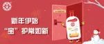 新年进入倒计时！大宝子邀你一起跨年啦~