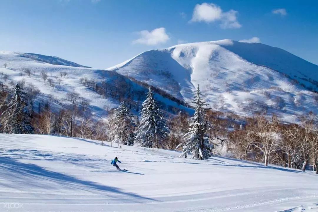 我去了趟北海道，滿足了我所有對於冬日的幻想… 旅遊 第23張