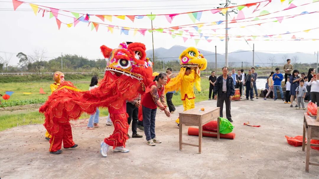 非物质文化遗产品味上林2024年壮族灯酒节