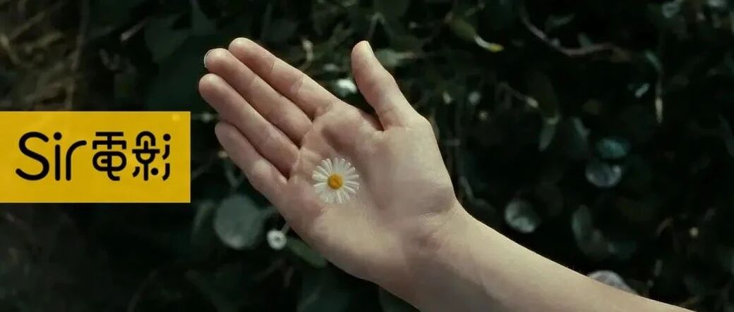 到他微博下骂人，到底是谁带坏小孩？