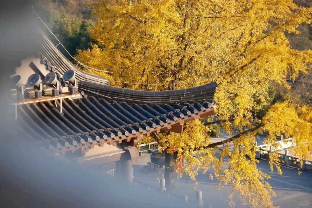 微信图片_20251013143953.jpg