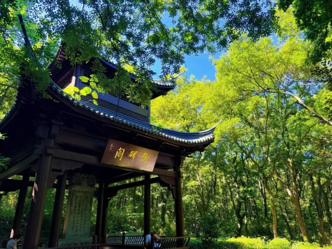 微信图片_2026-08-01_133403_918.jpg