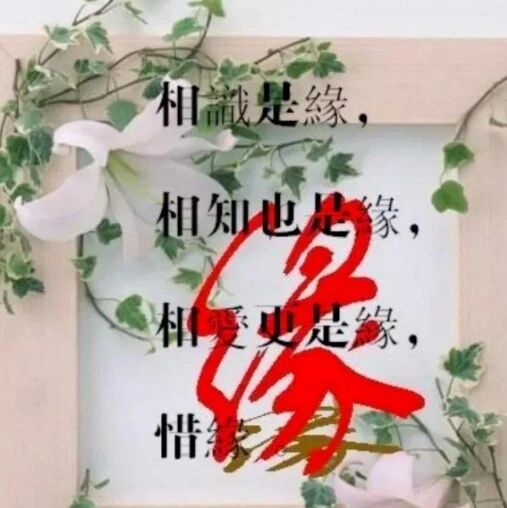 雨后孤独2020-11-09 15:40人生有缘情不散 ,彼此牵挂心相连雨后孤独