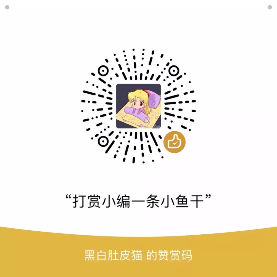 長毛三花貓看到小主人深夜還沒做完作業，於是伸出了爪子... 寵物 第13張