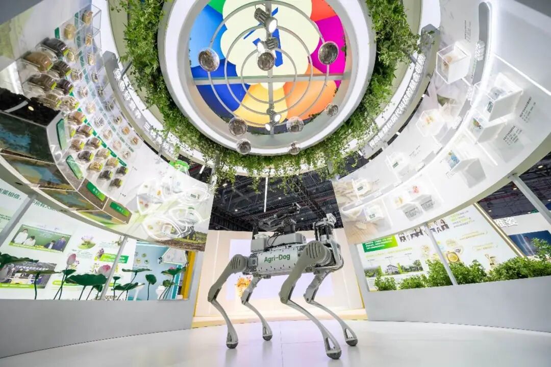 图片包含 桌子, 游戏机

AI 生成的内容可能不正确。