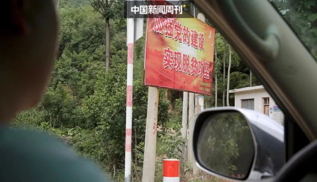 38萬元克隆一只狗，讓你家原來的那只愛寵「回來」 寵物 第8張
