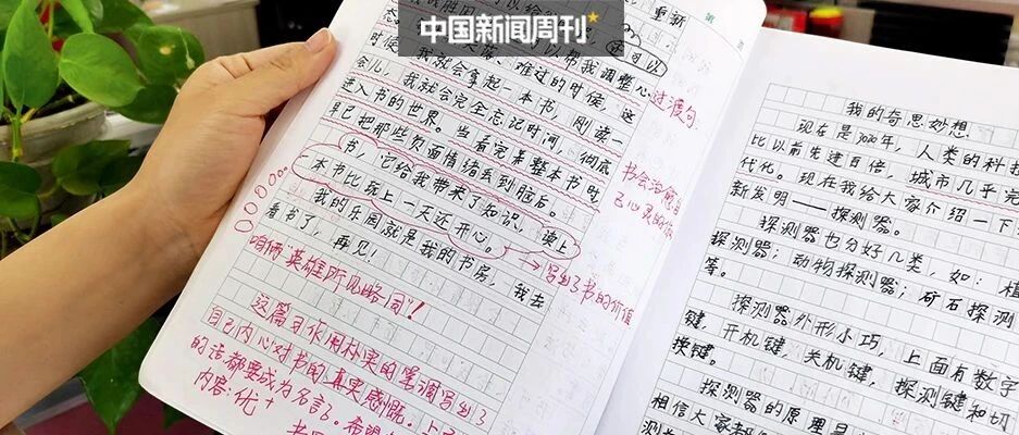 不说“假话”写不了作文，语文教育哪里出了问题？